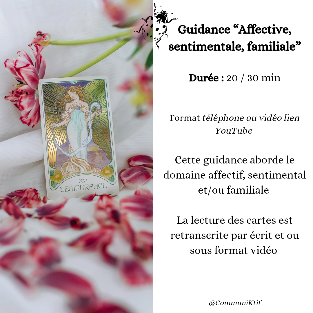 Guidance Secteur Affectif,familiale, amicale