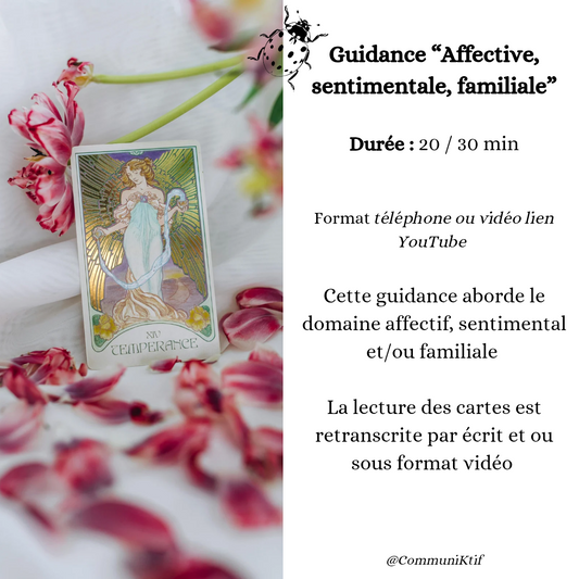 Guidance Secteur Affectif,familiale, amicale