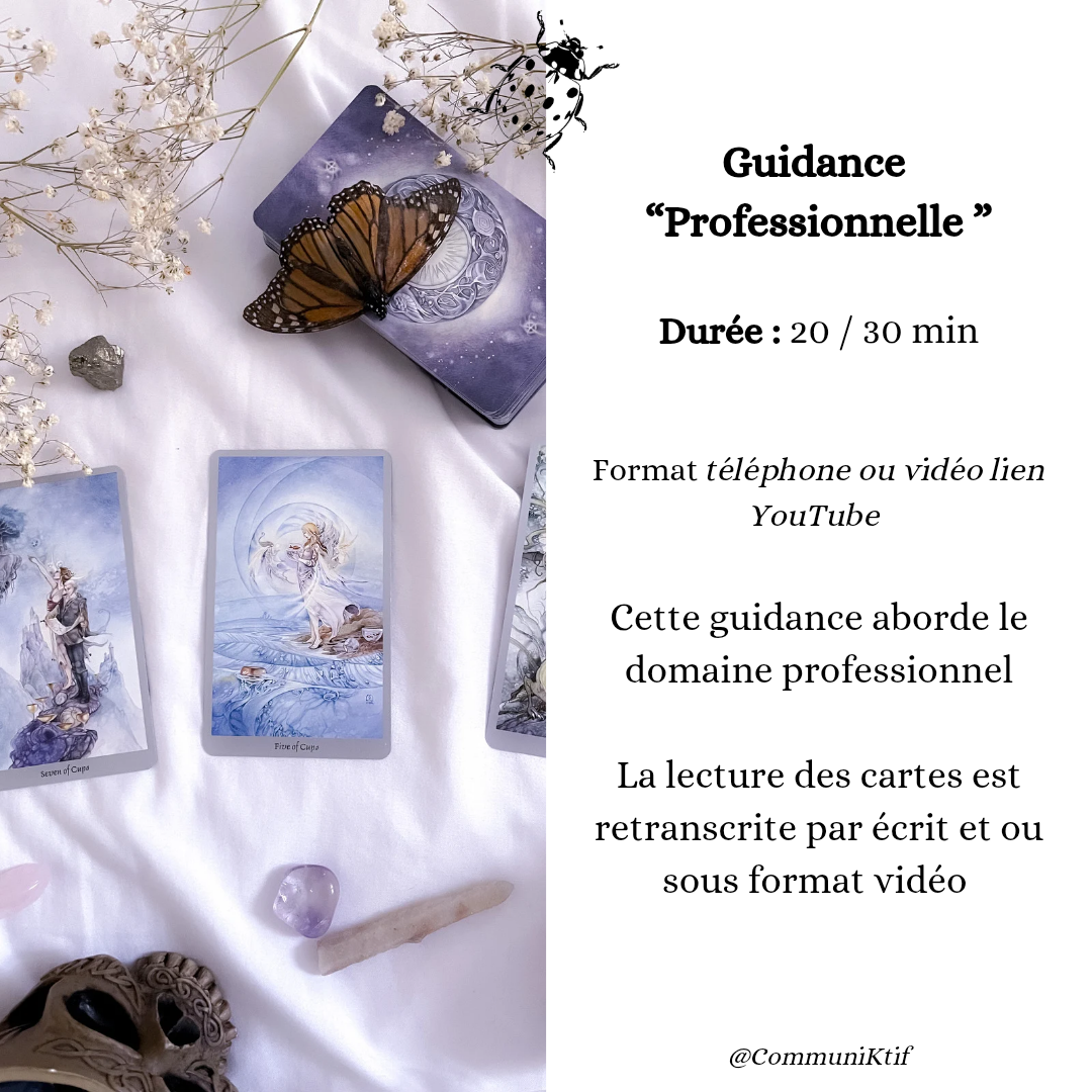 Guidance Secteur Professionnel