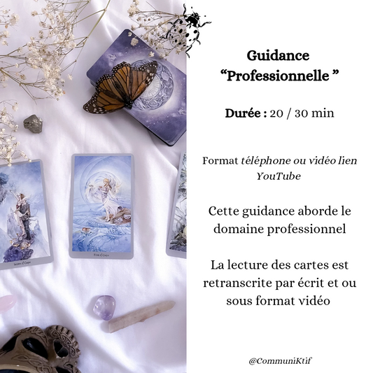 Guidance Secteur Professionnel